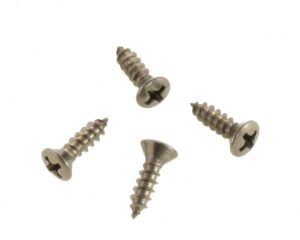 Lot de 4 vis inox Waterway 819-3260 · Pour skimmers Front Access 1 & 2