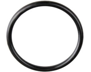 Joint 59 mm pour union de pompe Davey SpaPower 2"